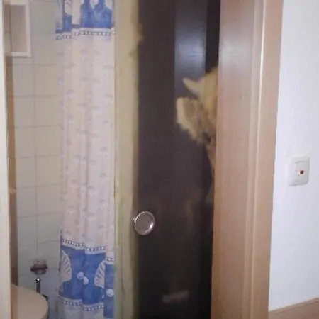 Falkenhorst Wh 41 Apartamento Oberstdorf